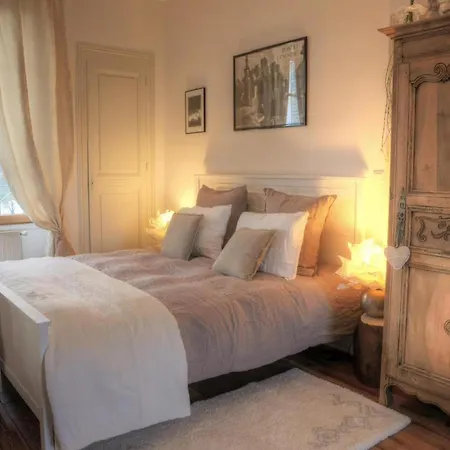 Demeure De Charme A Moulins, Animaux Acceptes - Fr-1-489-532