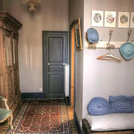 Demeure De Charme A Moulins, Animaux Acceptes - Fr-1-489-532 * Moulins (Allier)