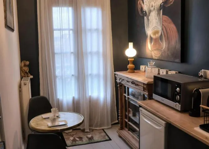 Demeure De Charme A Moulins, Animaux Acceptes - Fr-1-489-532 Holiday home Moulins (Allier)