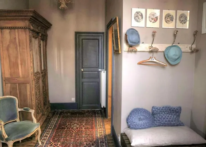 Demeure De Charme A Moulins, Animaux Acceptes - Fr-1-489-532 * Moulins (Allier)